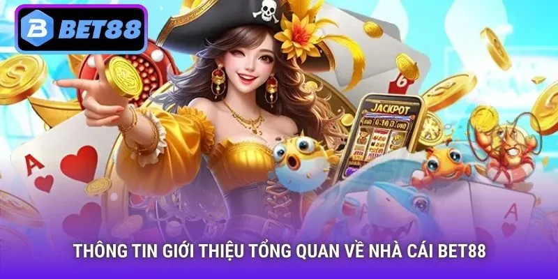 Thông tin giới thiệu tổng quan về nhà cái Bet88