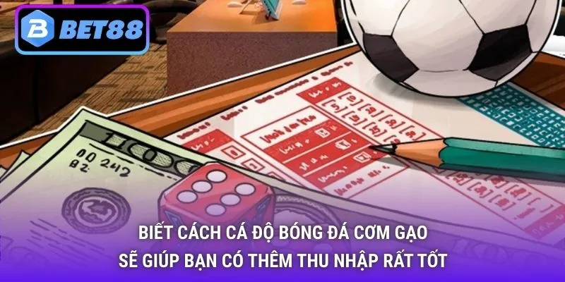 Biết cách cá độ bóng đá cơm gạo sẽ giúp bạn có thêm thu nhập rất tốt