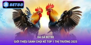 Đá gà Bet88