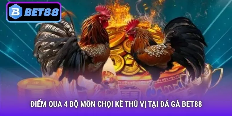 Điểm qua 4 bộ môn chọi kê thú vị tại đá gà Bet88