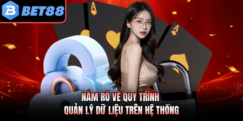 Nắm rõ về quy trình quản lý dữ liệu trên hệ thống